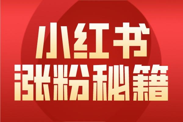 小红书发布视频要有规律吗？